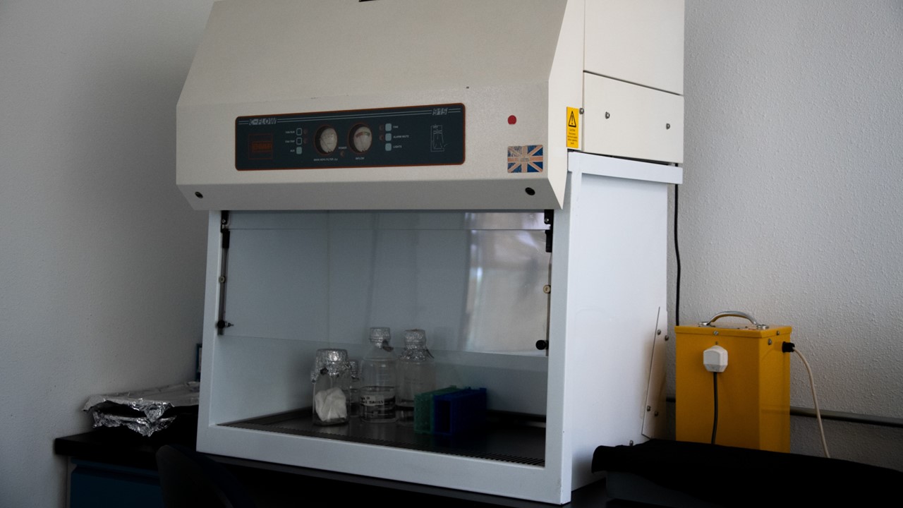 Campana de flujo laminar